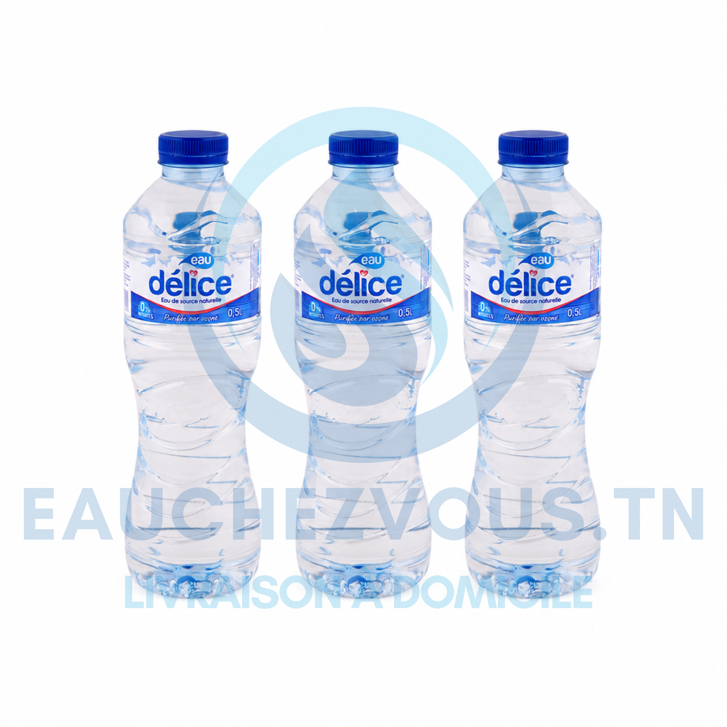 Eau minérale Délice 0.5 (Pack de 12)