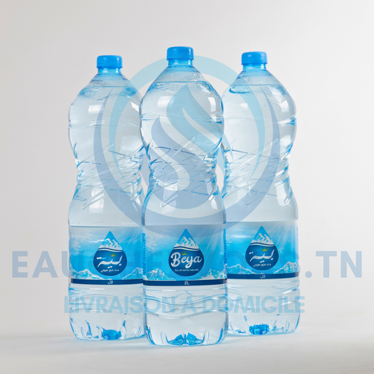 Eau minérale Beya 2L (Pack de 6)