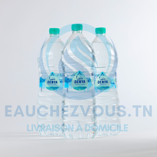 Eau minérale Denya 2L (Pack de 6)