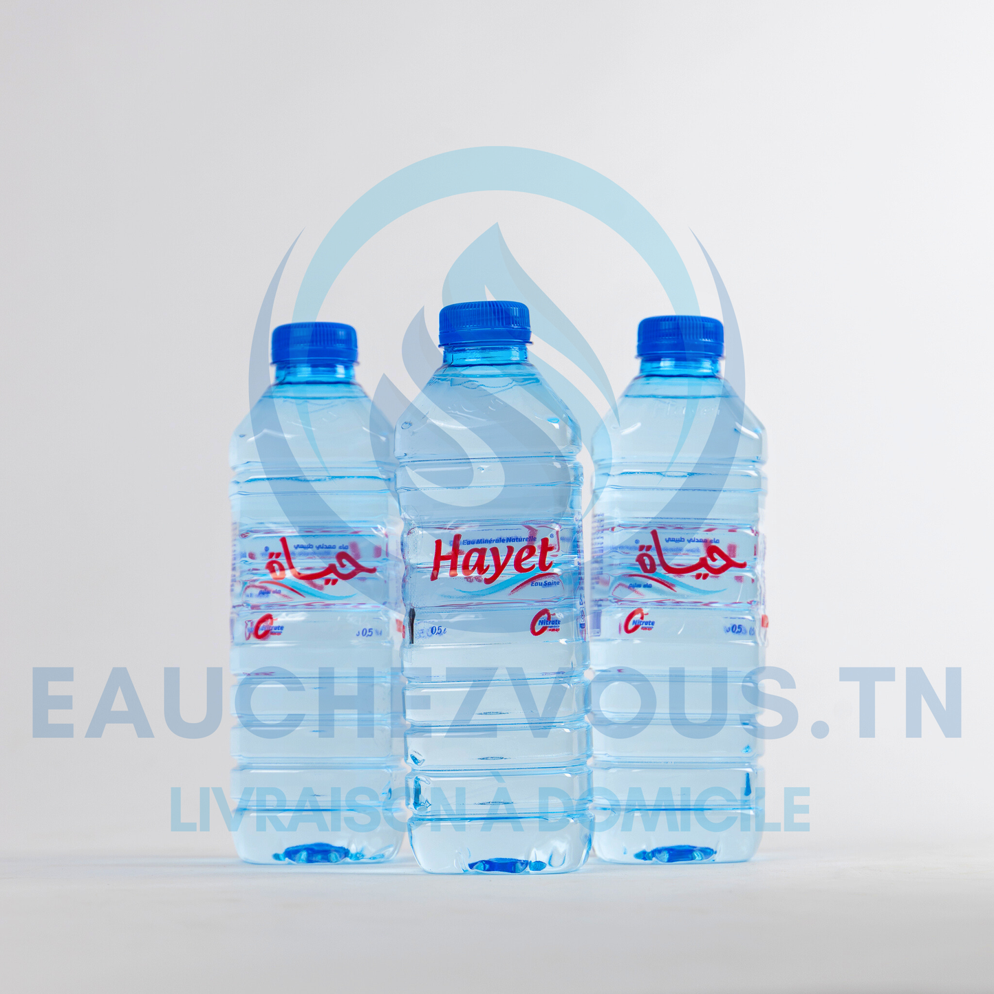Eau minérale Hayet 0.5 (Pack de 12)