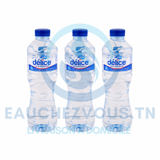 Eau minérale Délice 0.5 (Pack de 12)