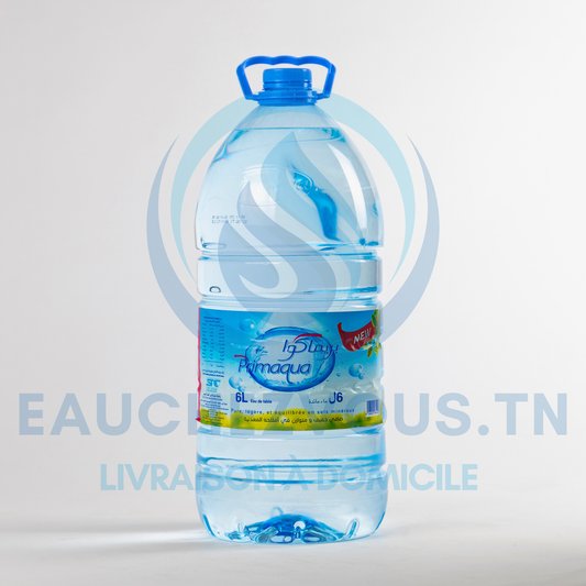 Eau minérale Primaqua 6L (1 Bouteille)