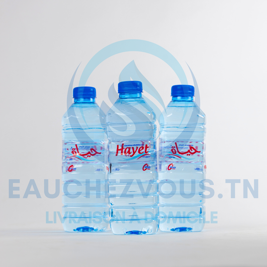Eau minérale Hayet 0.5 (Pack de 12)