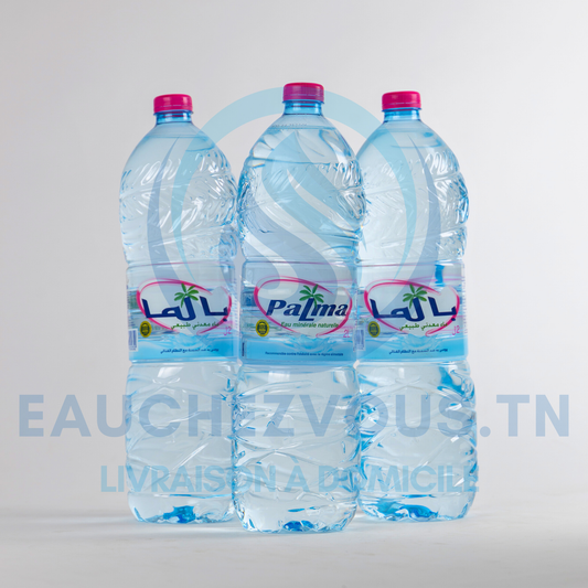 Eau minérale Palma 2L (Pack de 6)